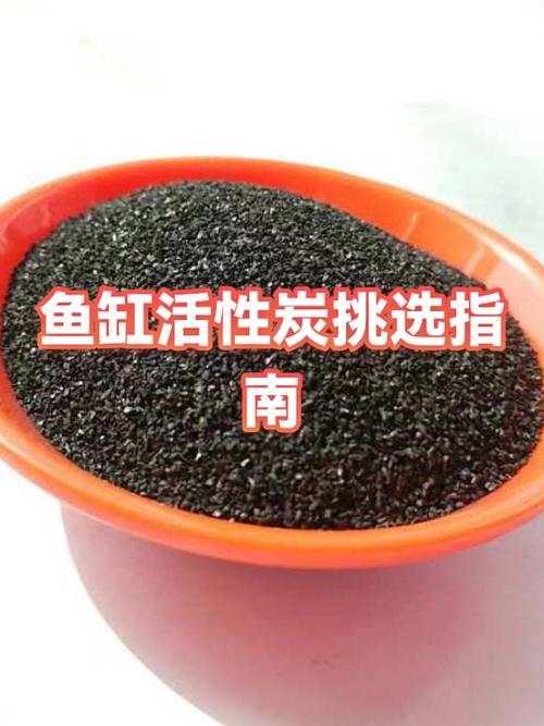 小型鱼缸最好选哪一种