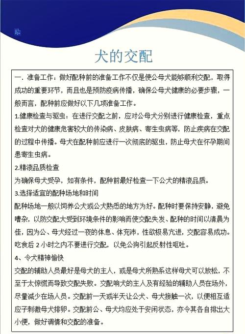 狗狗攻略
