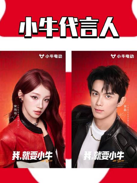 小牛电动车广告代言人
