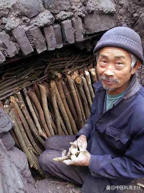 我的世界白皮干地老哥