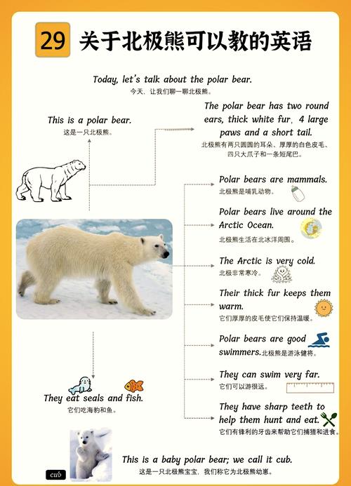 polarbear中文翻译截图