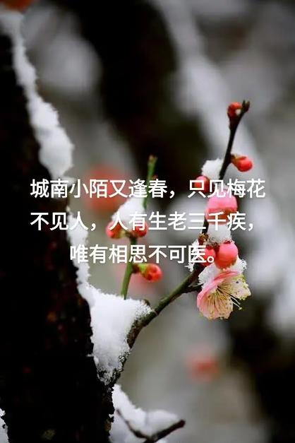 城南小陌又逢春抖音视频