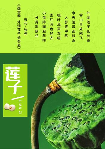 飚车世界连子是什么意思