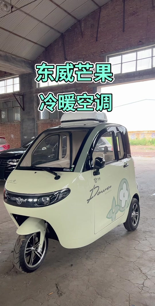 东威三轮电动车价格