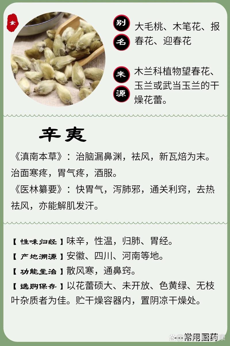 辛夷可以单独泡水喝吗截图