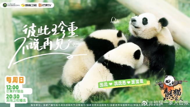 熊猫2008TV免费版截图