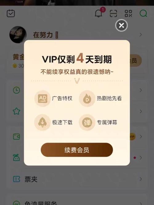 绿钻爱奇艺联合会员怎么用