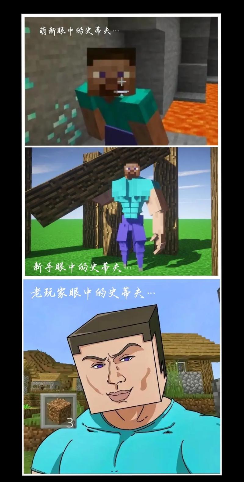小小达人秀 史蒂夫