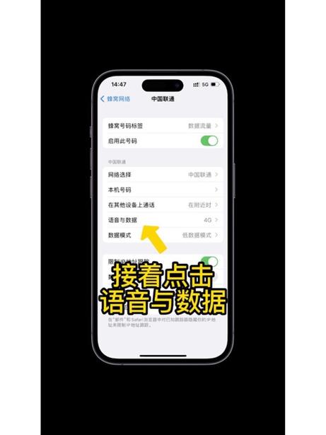 苹果手机显示5g标志设置