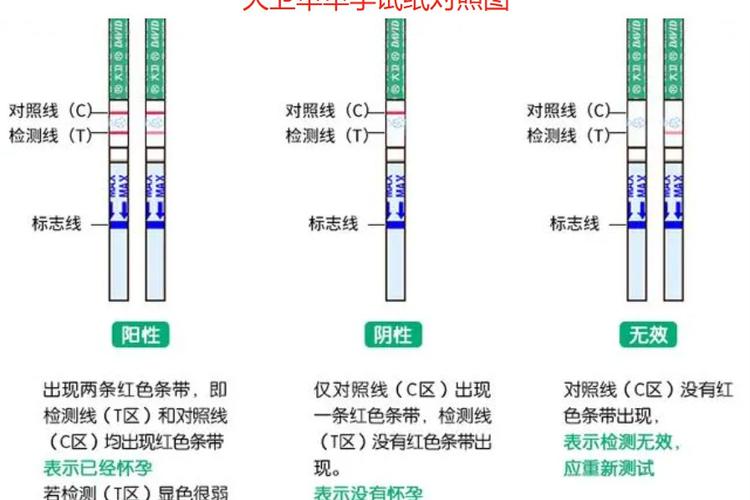各种早孕试纸的灵敏度