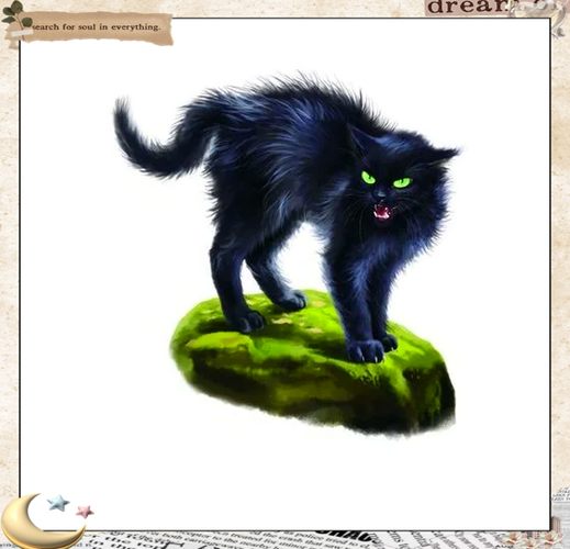 猫武士维基时间轴