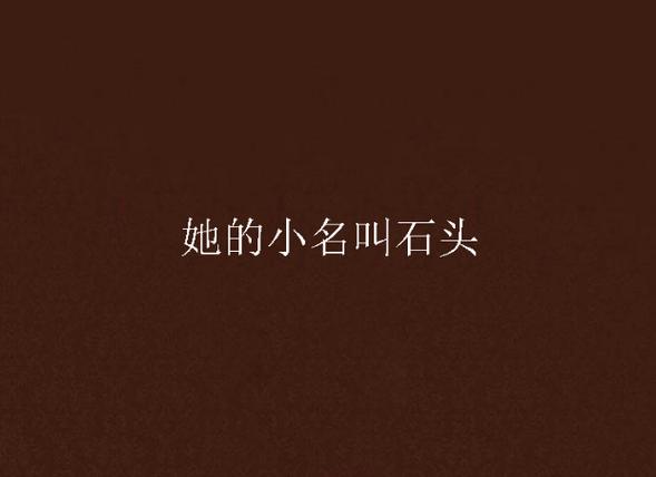 主人公叫石头的小说