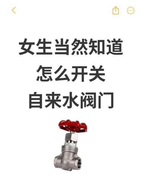 威力大冒险阀门怎么打开喷泉
