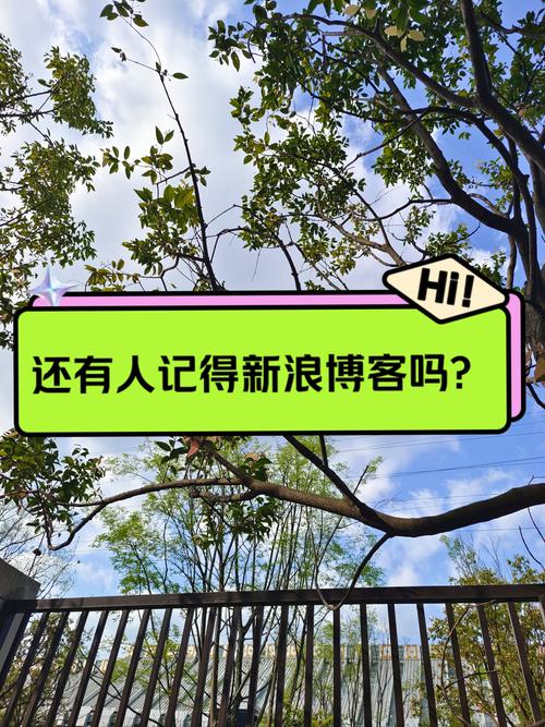 怎么注销新浪博客