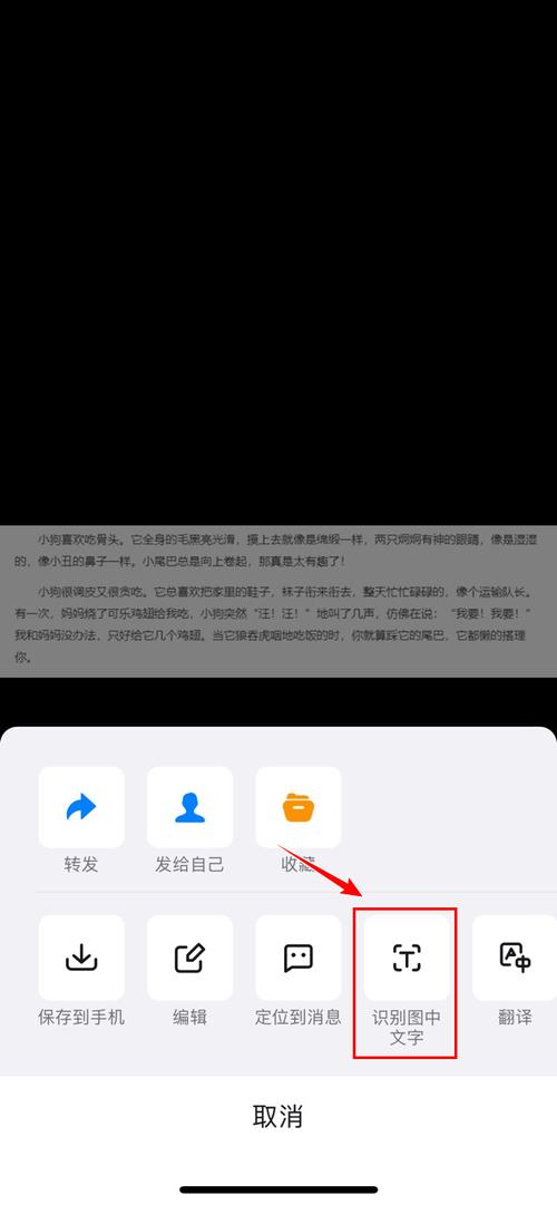 钉钉识别图片文字在哪里设置的截图