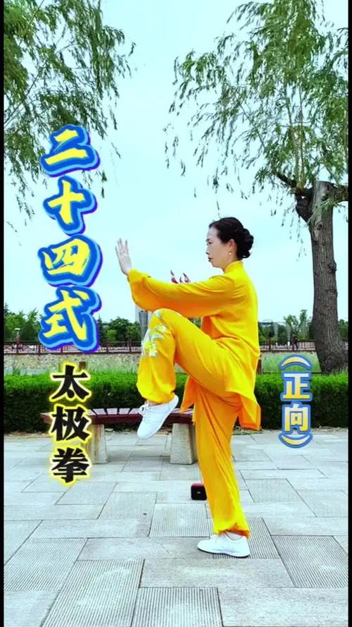 太极24式完整版
