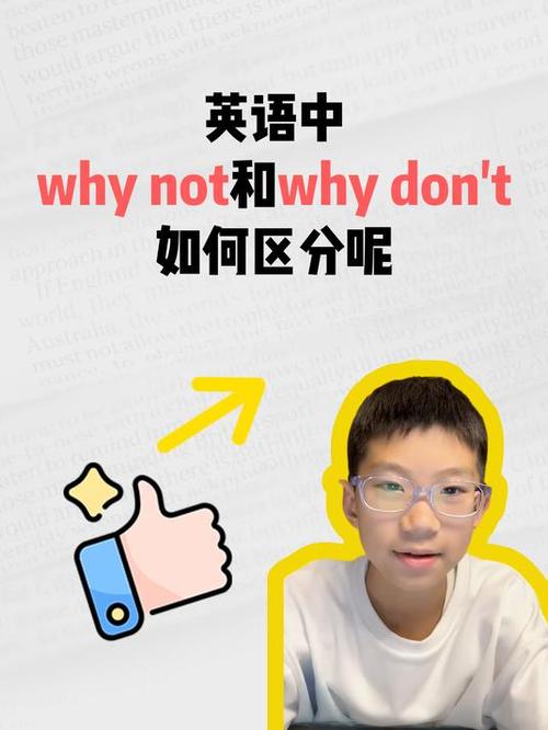 Why not等于什么