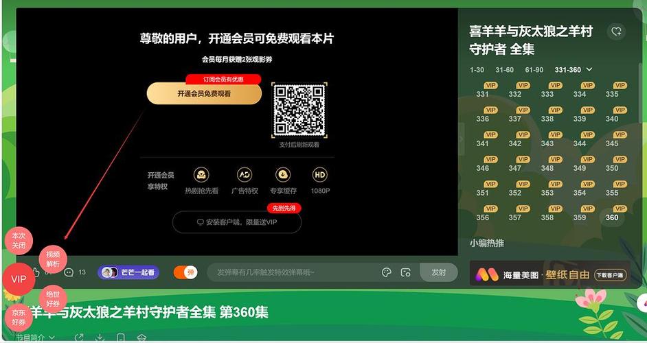 vip解析软件