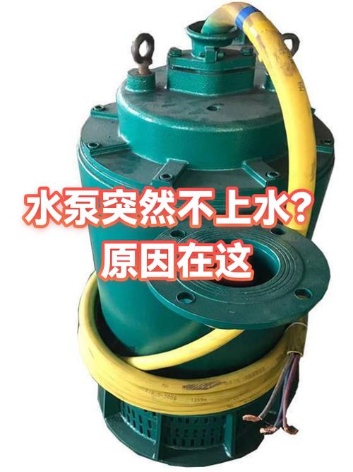饮水机水泵不上水怎么回事