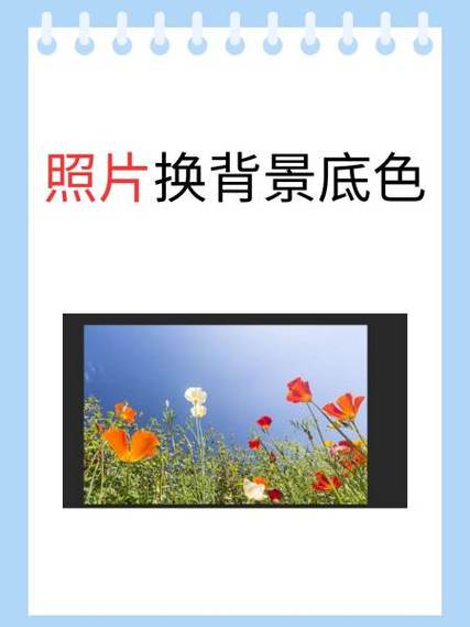 更换照片背景颜色缩略图