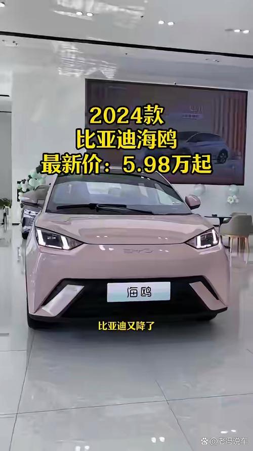 海鸥4.98万是落地价吗