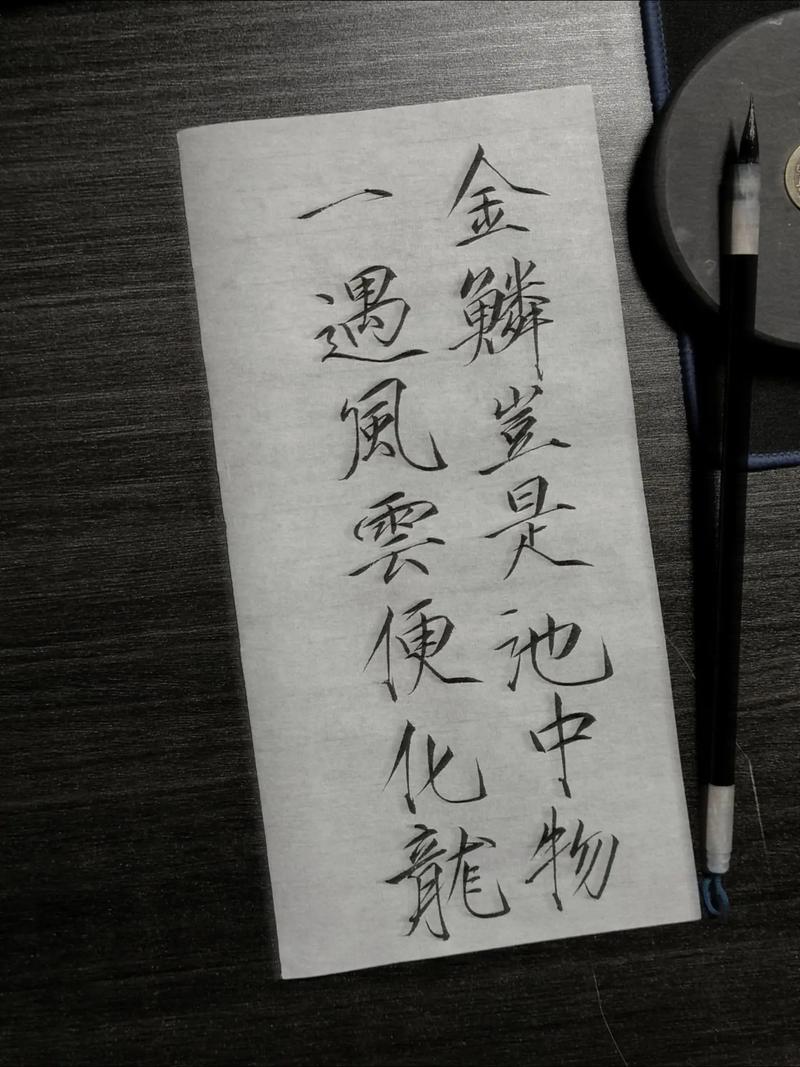 麒麟岂是池中物何丽萍薛诺