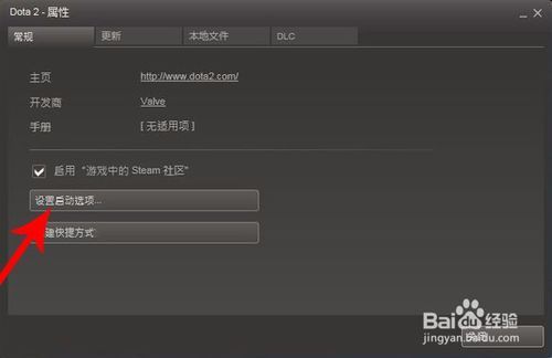 dota2怎么设置国服图标