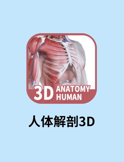 三维人体建模软件图标