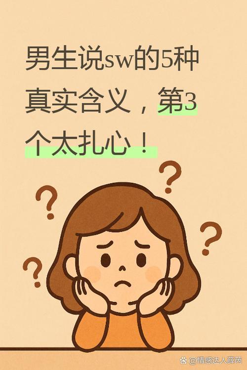 体制内sw是什么意思