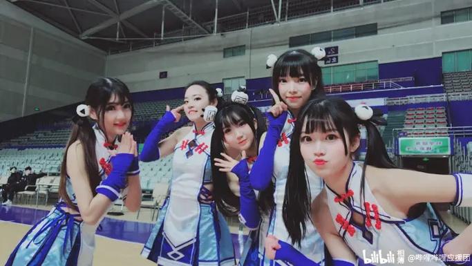 哔哩哔哩应援团是什么截图