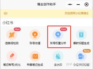 支付宝账号注销还可以查到信息吗