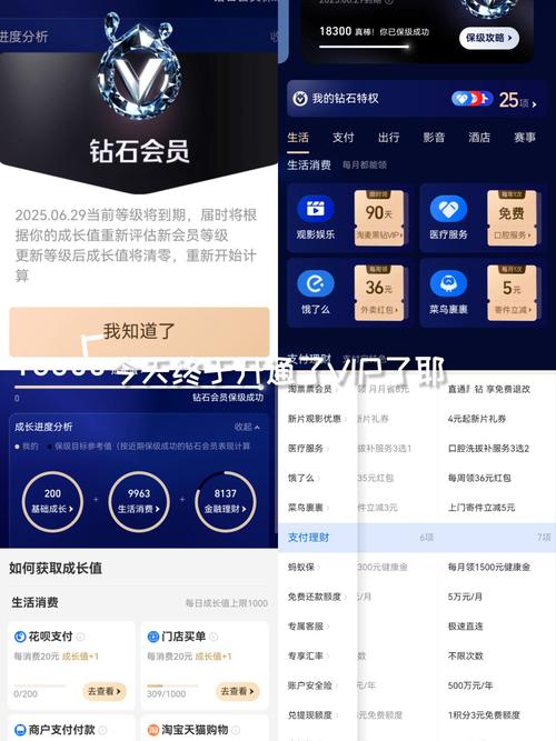 支付宝领会员在哪里领