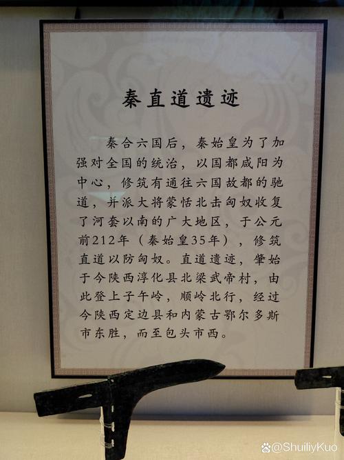 苟秦txt