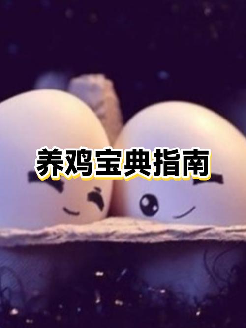 鸡一年能下几个月蛋
