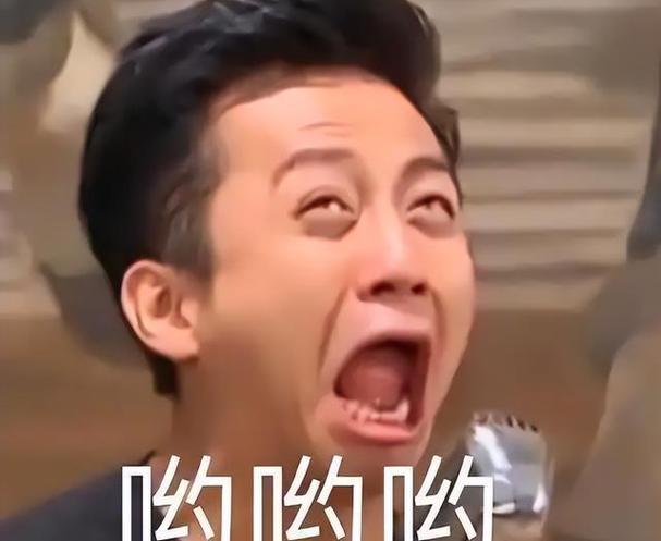 邓超表情图片大全