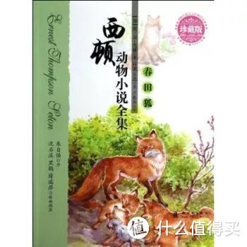 我的启蒙妈妈小说免费阅读全文