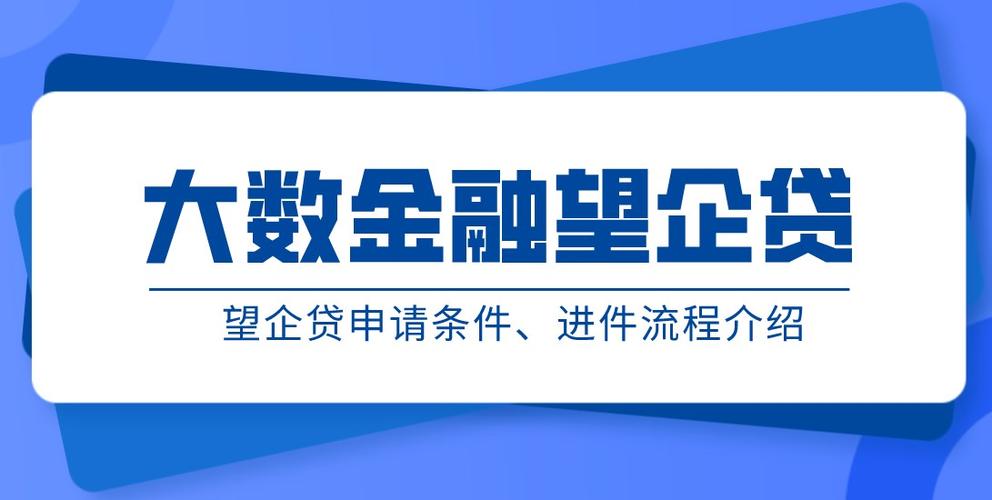 大数望企贷