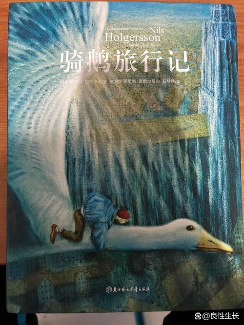空岛怎么获得石头截图