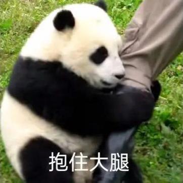 抱大腿表情包图片
