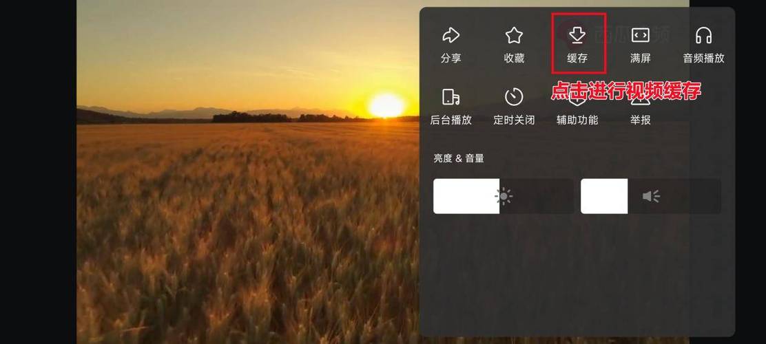 西瓜视频电脑版官方免费下载安装截图