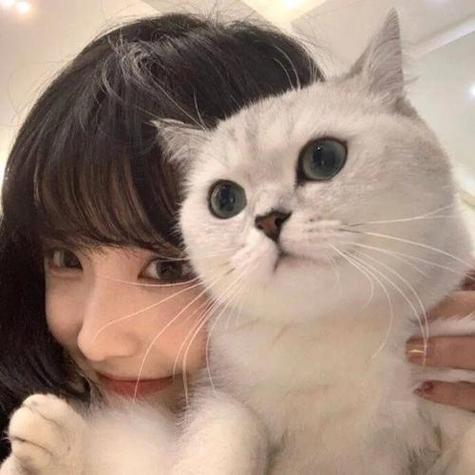 猫咪女生头像