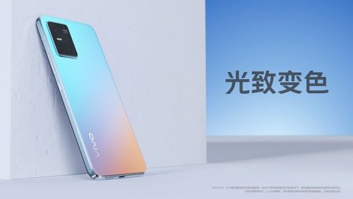 vivos10二手能卖多少钱