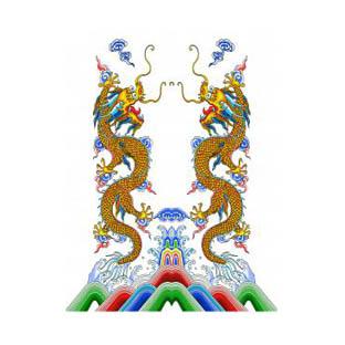 双龙图片100张缩略图