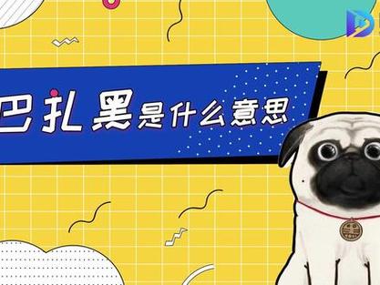 巴扎黑是什么意思