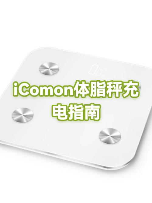 体脂秤一般充电几个小时能满