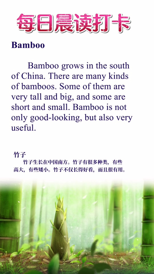 竹子介绍