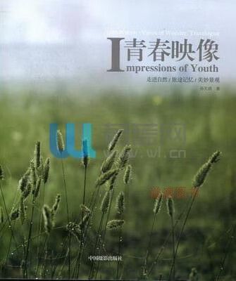 贾玲年轻时的照片缩略图
