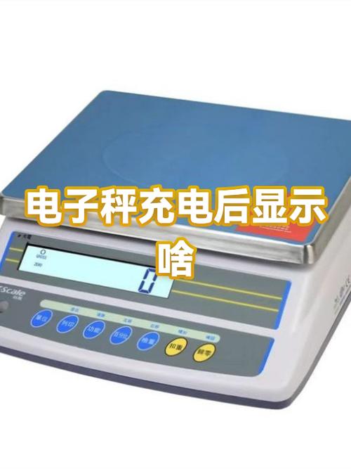 电子秤充电后还显示lo图标