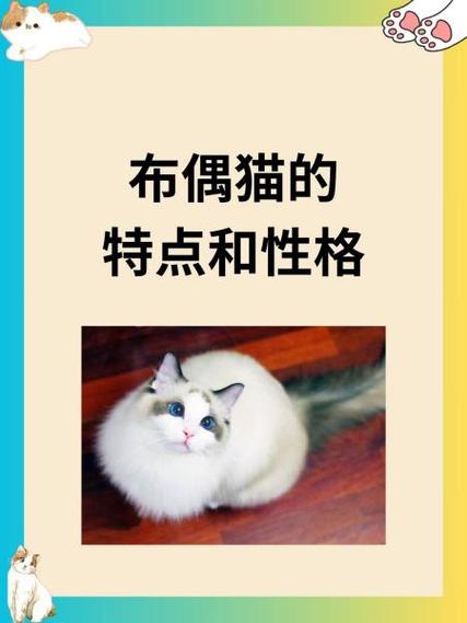 布偶一生认几个主人截图
