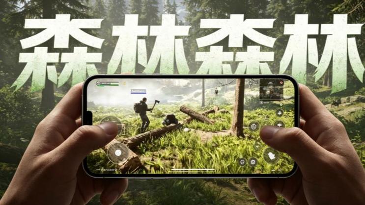 森林正版可以和盗版联机吗